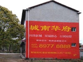 叶县百分之90的人都不了解的农村墙体广告