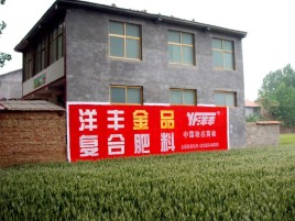 叶县如何让墙体广告展现最大化效果