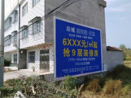 叶县墙体广告质量分析