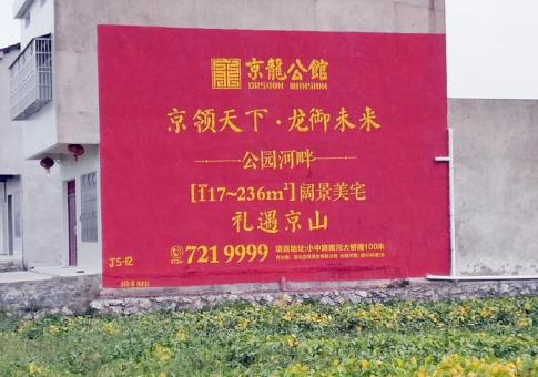 叶县墙体广告发布的关键问题
