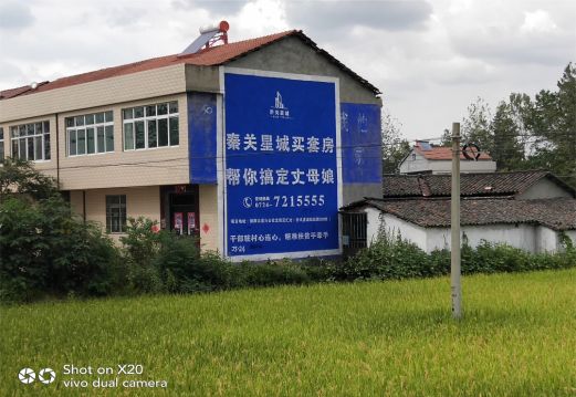 叶县决定墙体广告价格的因素有哪些?