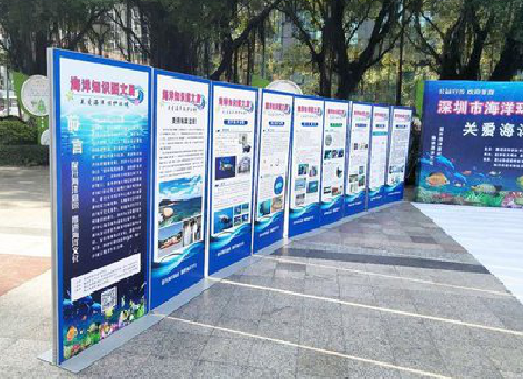 叶县KT板的种类和知识。